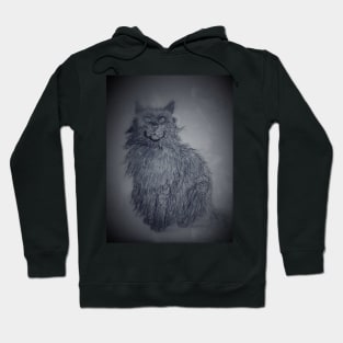 Black cat Hoodie